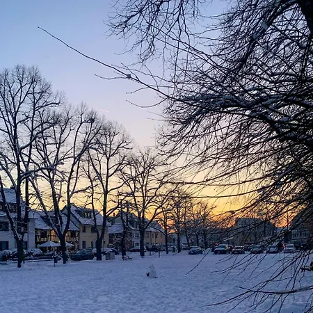 Fachwerkhaus Naehe Koeln Bonn, Messe, Flughafen 아파트 트로이스도르프
